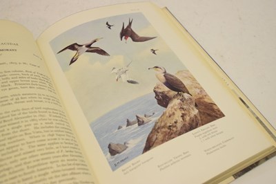 Lot 262 - Books - Bannerman, David Armitage (1886-1979) - Birds of the Atlantic Islands