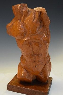 Lot 177 - Clay torso