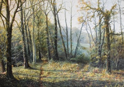 Lot 464 - Gerry Hillman (20th Century) - Oil on canvas - Woodland scene