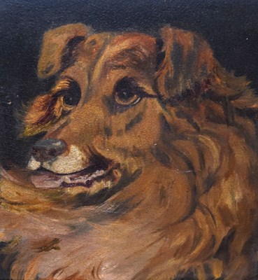 Lot 492 - Primitive oil on board - Dog