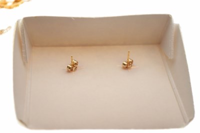 Lot 64 - Landstrom's grape leaf design matching pendant and stud earrings, each stamped '10k'