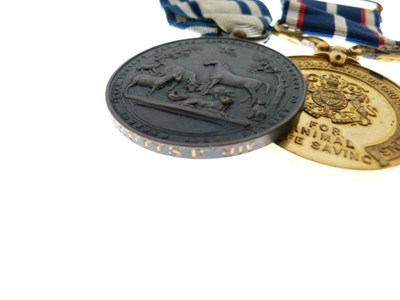 Lot 327 - Royal Society for the Protection of Cruelty to Animals pair
