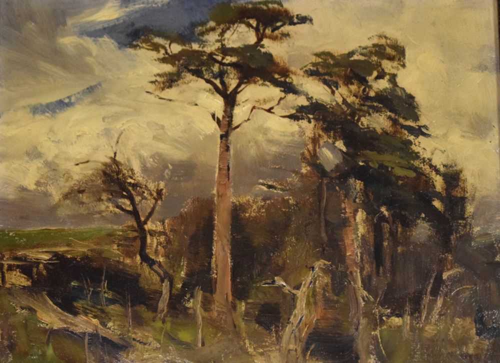 Lot 721 - F.A.W.T. Armstrong - Oil on board - Landscape with Scots Pine