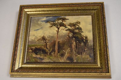 Lot 721 - F.A.W.T. Armstrong - Oil on board - Landscape with Scots Pine