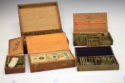 Lot 224 - Collection of microscopic slides