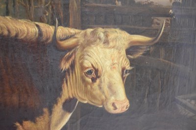Lot 370 - Lucas Beattie (British, 19th Century) - Oil on canvas - Prize dairy shorthorn and sheep