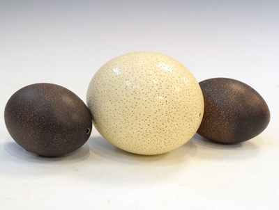 Lot 196 - Ostrich egg and two emu eggs