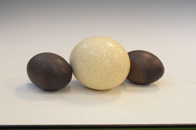 Lot 196 - Ostrich egg and two emu eggs