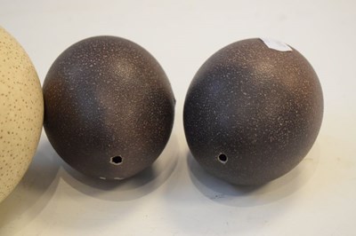 Lot 196 - Ostrich egg and two emu eggs