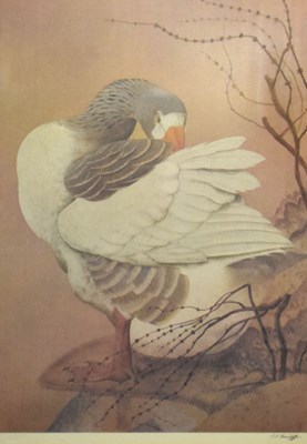 Lot 684 - Charles Frederick Tunnicliffe - signed print - Graylag Goose