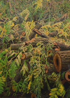 Lot 636 - Norman Stevens, (1937-1988) - Limited edition print  - Black walnut, Kew Gardens