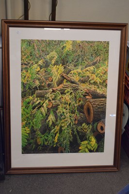Lot 636 - Norman Stevens, (1937-1988) - Limited edition print  - Black walnut, Kew Gardens