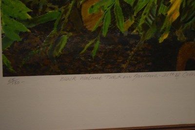 Lot 636 - Norman Stevens, (1937-1988) - Limited edition print  - Black walnut, Kew Gardens