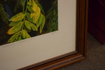 Lot 636 - Norman Stevens, (1937-1988) - Limited edition print  - Black walnut, Kew Gardens