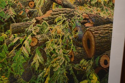 Lot 636 - Norman Stevens, (1937-1988) - Limited edition print  - Black walnut, Kew Gardens