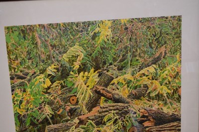 Lot 636 - Norman Stevens, (1937-1988) - Limited edition print  - Black walnut, Kew Gardens