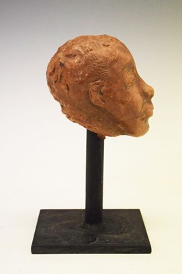 Lot 164 - Terracotta bust of a young male