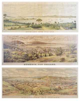 Lot 547 - New Zealand Interest - Three rare late 19th Century prints