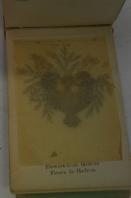 Lot 234 - Group of First World War era and other postcards from Middle East