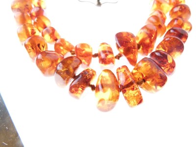 Lot 46 - Two-row graduated amber bead necklace