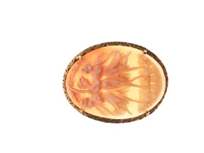 Lot 64 - Shell cameo brooch
