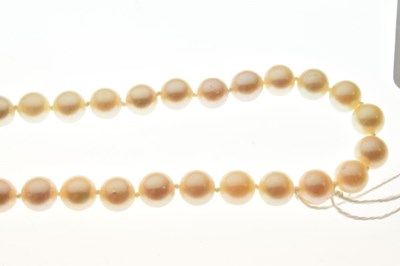 Lot 71 - Boxed string of pearls with 9ct gold clasp