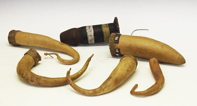 Lot 160 - Ethnographica - Group of Kotekas or sheaths, Papua New Guinea