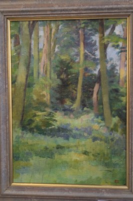 Lot 588 - Peter Swan RWA - Oil on canvas - Woodland scene