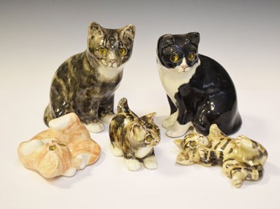 Lot 316 - Two Winstanley cats and three kittens