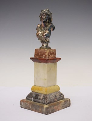 Lot 260 - Silvered bronze bust on pedestal