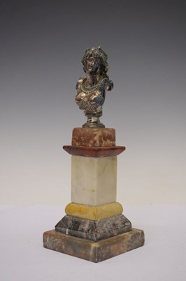 Lot 260 - Silvered bronze bust on pedestal