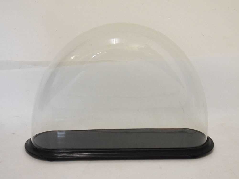 Lot 238 - Large glass dome