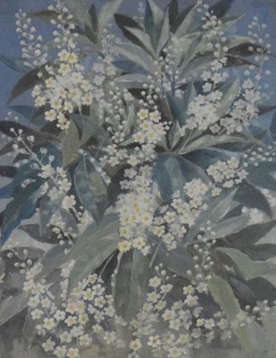 Lot 609 - Alfred Hoare Powell (1865-1960) (Wedgwood) - Watercolour - 'Bird Cherry or Pudus'