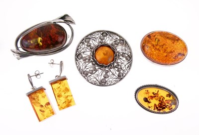 Lot 61 - Collection of Amber Jewellery