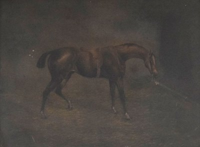 Lot 577 - Oil on canvas - A Hack in a stable