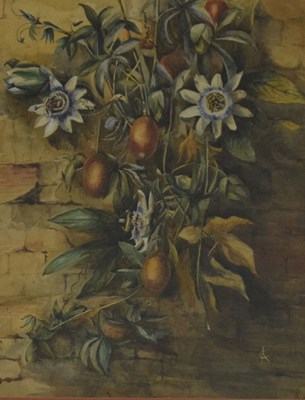 Lot 656 - English School - Watercolour - Passion flowers