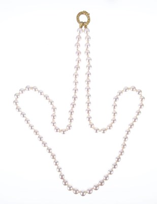 Lot 42 - Uniform row of cultured pearls