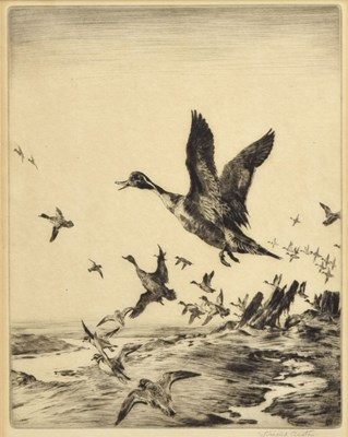 Lot 411 - Winifred Austen (1876 - 1964) "Mallards" etching