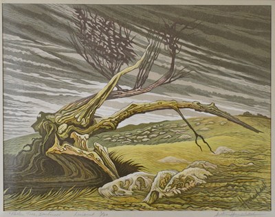 Lot 487 - Arthur Homeshaw RWA (1933-2011) - Limited edition linocut - 'Fallen Tree'