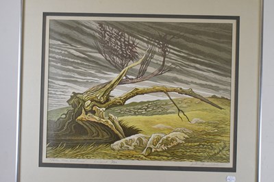 Lot 487 - Arthur Homeshaw RWA (1933-2011) - Limited edition linocut - 'Fallen Tree'