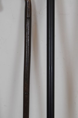 Lot 217 - Quantity of novelty walking sticks