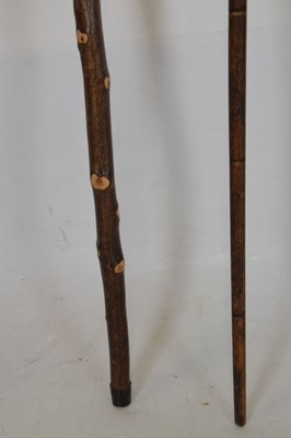 Lot 217 - Quantity of novelty walking sticks
