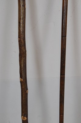 Lot 217 - Quantity of novelty walking sticks
