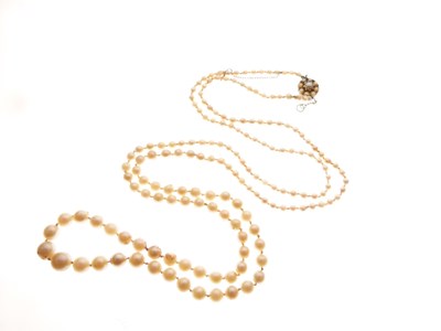 Lot 47 - Row of graduated freshwater pearls