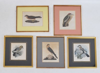 Lot 464 - Three early 19th Century hand-coloured bird prints and two others