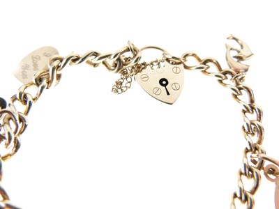 Lot 47 - 9ct gold charm bracelet