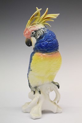 Lot 337 - Karl ENS Crested Parrot