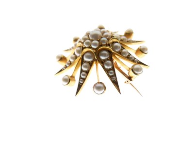 Lot 37 - Seed pearl starburst brooch