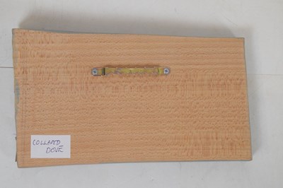 Lot 244 - Kathryn O'Kell - Seven carved limewood  bird plaques