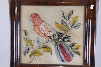 Lot 182 - Victorian woolwork textile study of a parrot